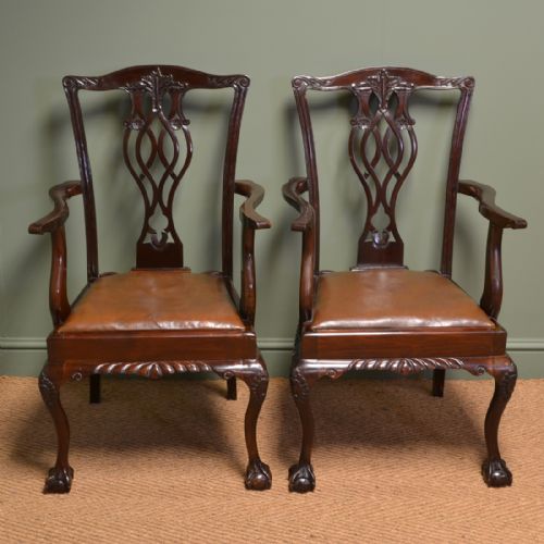 Sensational Pair of Walnut Edwardian Chippendale Design Carver Side Chairs