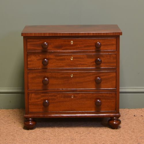 
Spectacular Small Regency Antique Mahogany Collectors Cabinet
