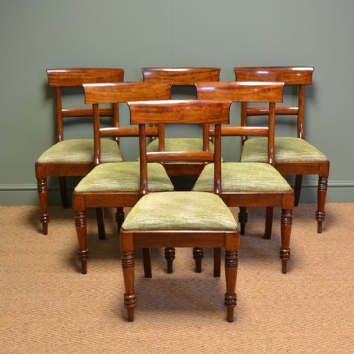 Superb Quality William IV Set of Six Mahogany Antique Dining Chairs