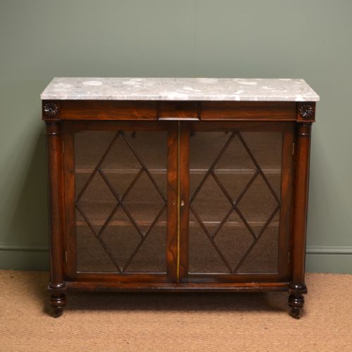 Superb Quality William IV Rosewood Antique Bookcase / Cabinet
