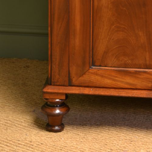 fig 1. Spectacular Regency Mahogany Antique Linen Press
