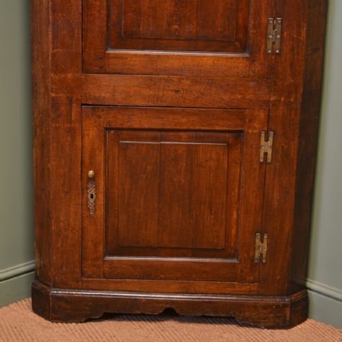 fig 2. Country House Floor Standing Georgian Oak Antique Corner Cupboard