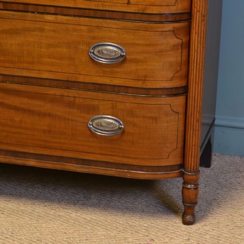 fig 1. Striking Large Regency Mahogany Bow Fronted Antique Chest Of Drawers
