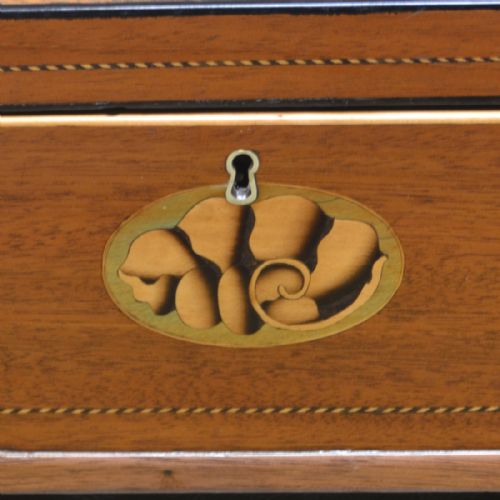 fig 1. Fine Quality Georgian Mahogany Inlaid Box