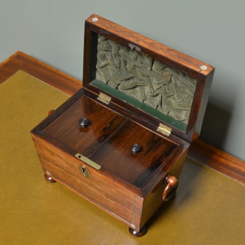 fig 1. Beautiful Regency Rosewood Sarcophagus Antique Tea Caddy