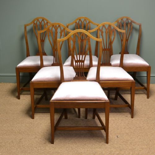 Elegant Mellow Mahogany Edwardian Hepplewhite Design Antique Dining Chairs