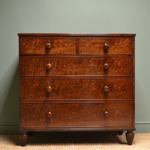 Spectacular Plum Pudding Mahogany Regency Antique Chest of Drawers