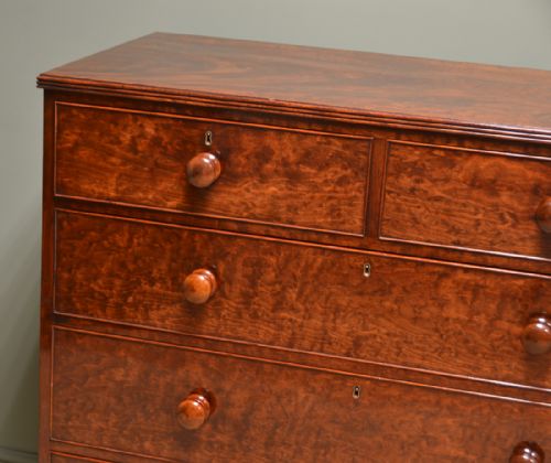 fig 1. Spectacular Plum Pudding Mahogany Regency Antique Chest of Drawers