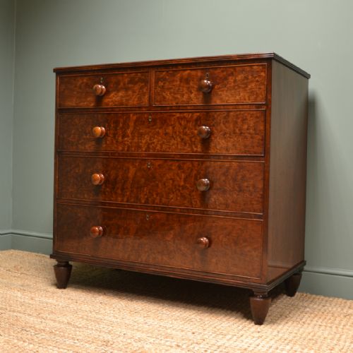 fig 3. Spectacular Plum Pudding Mahogany Regency Antique Chest of Drawers