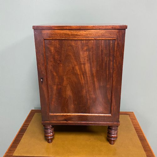 Spectacular Small Regency Antique Mahogany Collectors Cabinet