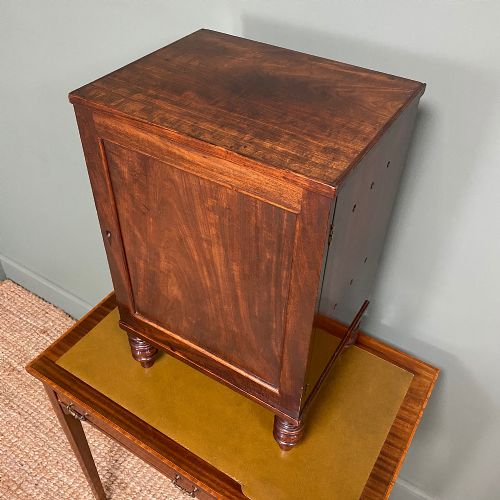 fig 1. Spectacular Small Regency Antique Mahogany Collectors Cabinet