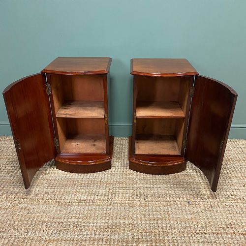 fig 1. Pair of Victorian Mahogany Antique Bedside Cabinets