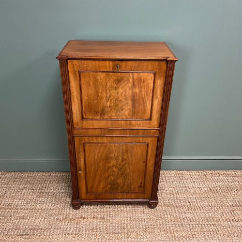 Regency Mahogany Antique Estate Cupboard with Fitted Interior
