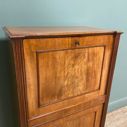 fig 2. Regency Mahogany Antique Estate Cupboard with Fitted Interior
