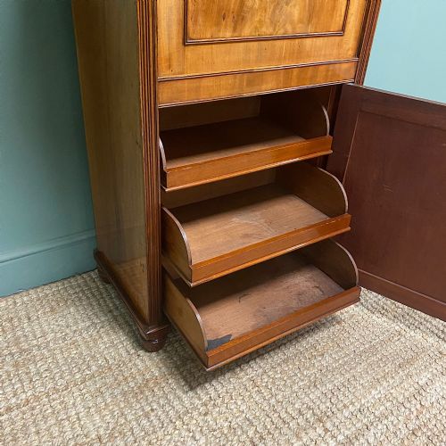 fig 3. Regency Mahogany Antique Estate Cupboard with Fitted Interior

