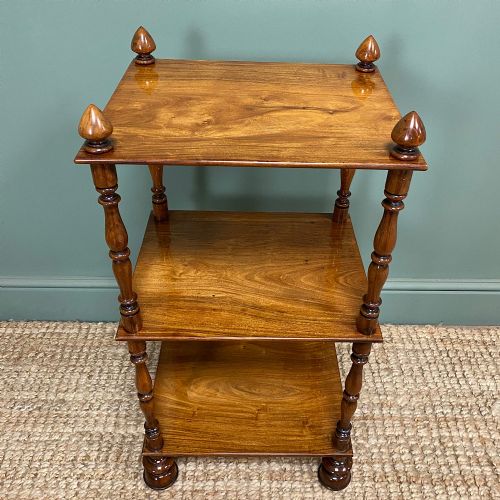 Fine Quality Antique Regency What Not / Side Table
