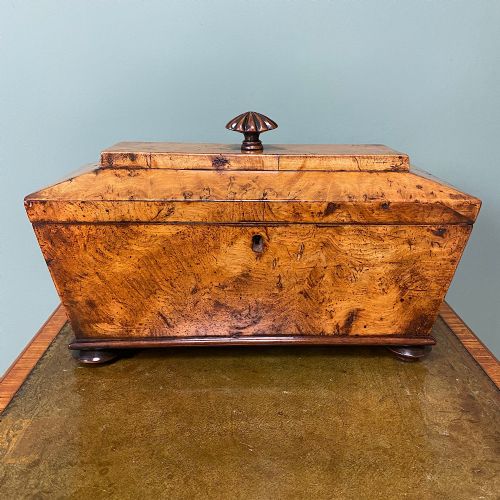 Rare Georgian Burr Elm Antique Tea Caddy
