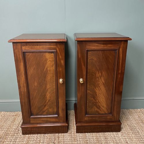 Pair of Victorian Mahogany Antique Bedside Cabinets
