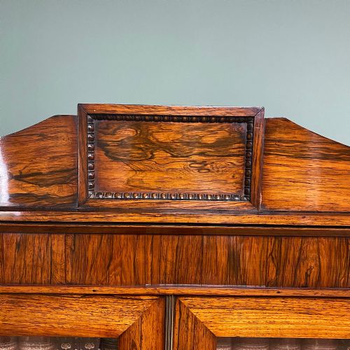 SUPERB QUALITY WILLIAM IV ROSEWOOD ANTIQUE BOOKCASE CABINET - ADDITIONAL PHOTO 3