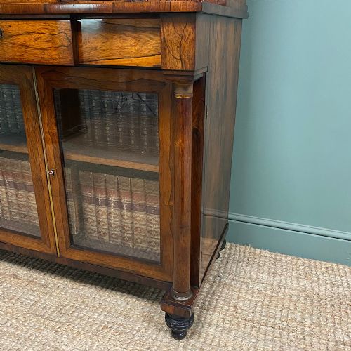 SUPERB QUALITY WILLIAM IV ROSEWOOD ANTIQUE BOOKCASE CABINET - ADDITIONAL PHOTO 4