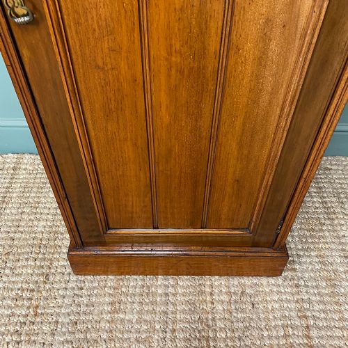 QUALITY VICTORIAN WALNUT ANTIQUE CUPBOARD - ADDITIONAL PHOTO 7