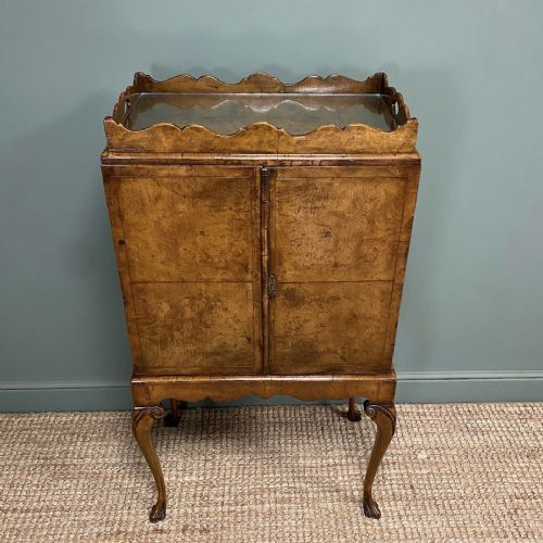 SPECTACULAR WALNUT QUEEN ANNE DESIGN DRINKS CABINET - ADDITIONAL PHOTO 1