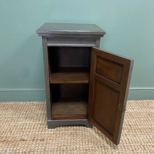 VICTORIAN PAINTED ANTIQUE CUPBOARD - ADDITIONAL PHOTO 4