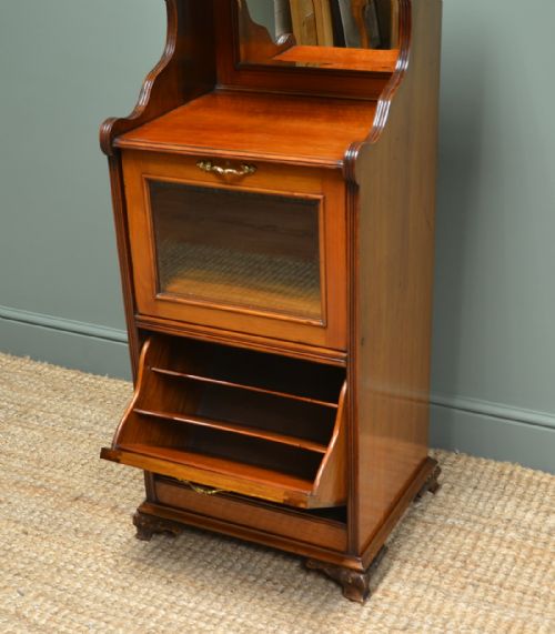 VICTORIAN WALNUT ANTIQUE SIDE CABINET - ADDITIONAL PHOTO 4