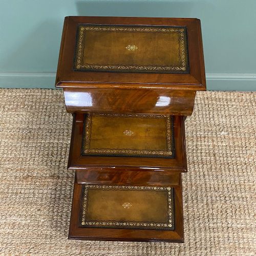 STUNNING VICTORIAN MAHOGANY ANTIQUE LIBRARY STEPS BED STEPS - ADDITIONAL PHOTO 4