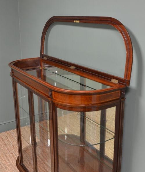 HIGH QUALITY VICTORIAN MAHOGANY ANTIQUE DISPLAY CABINET - ADDITIONAL PHOTO 5