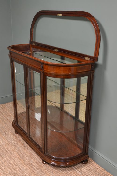 HIGH QUALITY VICTORIAN MAHOGANY ANTIQUE DISPLAY CABINET - ADDITIONAL PHOTO 6