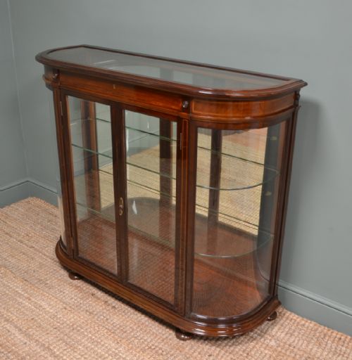 HIGH QUALITY VICTORIAN MAHOGANY ANTIQUE DISPLAY CABINET - ADDITIONAL PHOTO 7