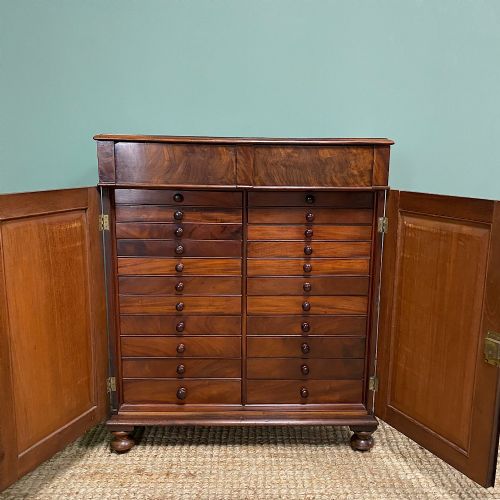 SPECTACULAR REGENCY MAHOGANY ANTIQUE COLLECTORS CABINET - ADDITIONAL PHOTO 3