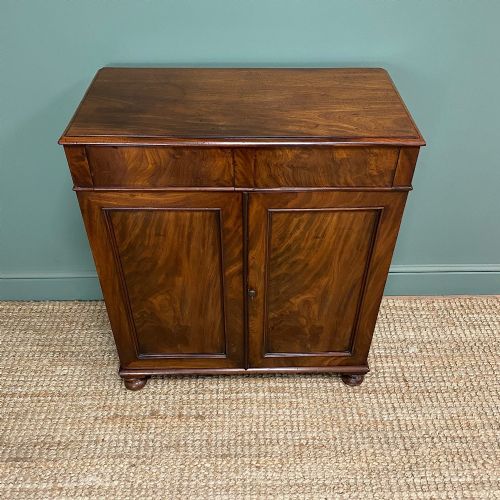 SPECTACULAR REGENCY MAHOGANY ANTIQUE COLLECTORS CABINET - ADDITIONAL PHOTO 5