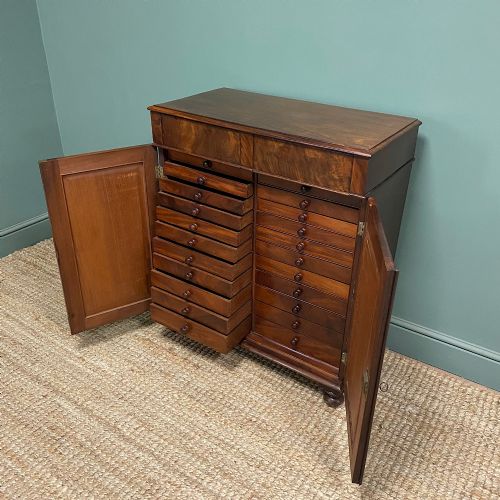 SPECTACULAR REGENCY MAHOGANY ANTIQUE COLLECTORS CABINET - ADDITIONAL PHOTO 6