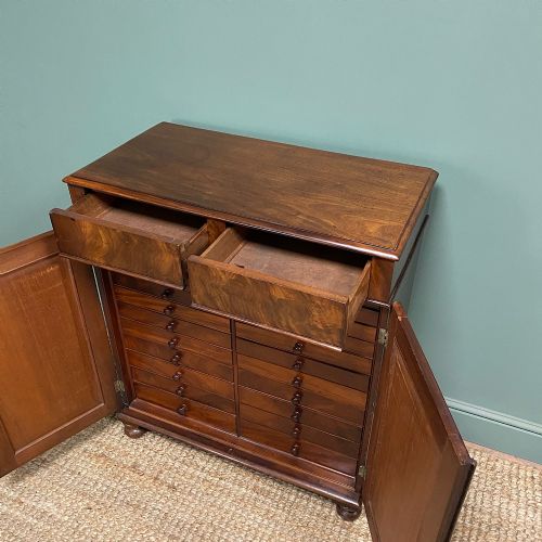 SPECTACULAR REGENCY MAHOGANY ANTIQUE COLLECTORS CABINET - ADDITIONAL PHOTO 7