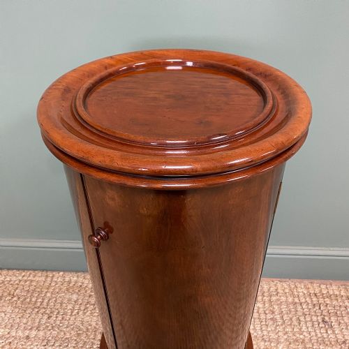 STUNNING VICTORIAN ANTIQUE CYLINDER CABINET - ADDITIONAL PHOTO 2