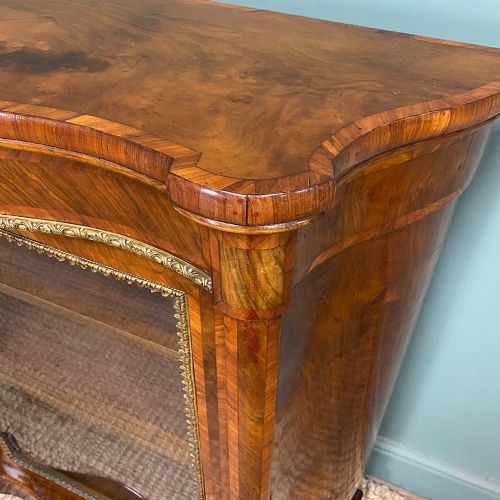 SPECTACULAR WALNUT KINGWOOD VICTORIAN ANTIQUE SIDE CABINET - ADDITIONAL PHOTO 6