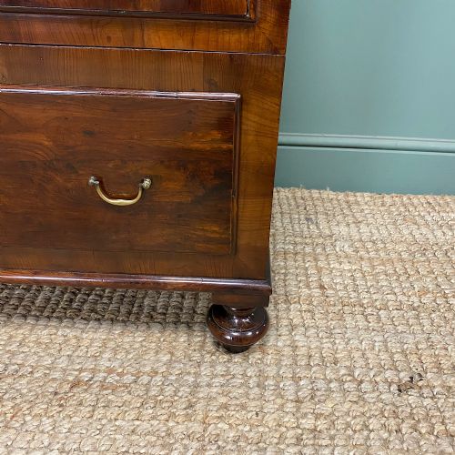 RARE ANTIQUE YEW ANTIQUE COMMODE CHEST - ADDITIONAL PHOTO 5