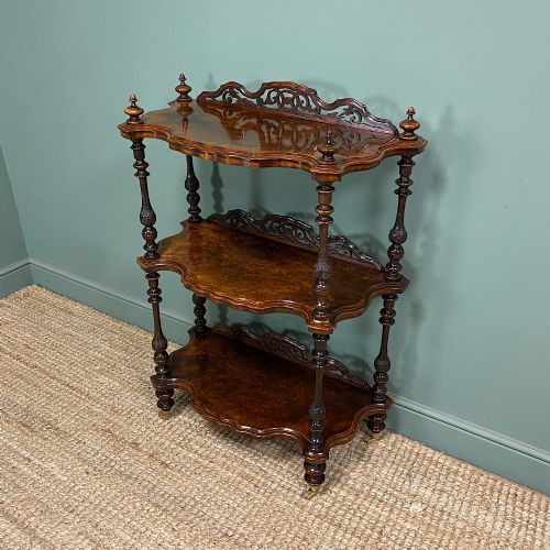 SUPERB QUALITY ANTIQUE VICTORIAN WALNUT WHAT NOT - ADDITIONAL PHOTO 6