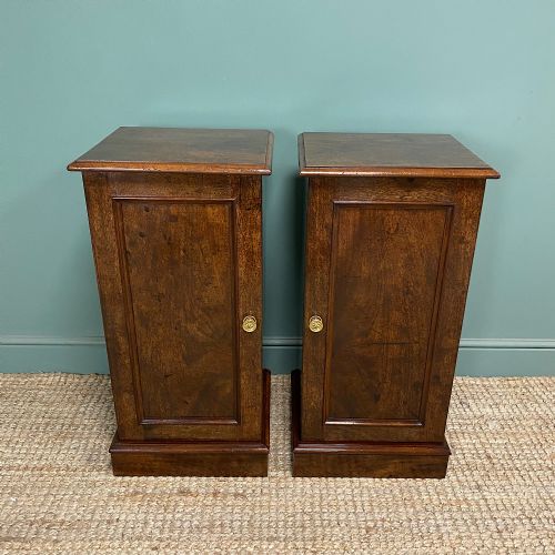 ANTIQUE VICTORIAN MAHOGANY PAIR OF BEDSIDE CABINETS - ADDITIONAL PHOTO 4