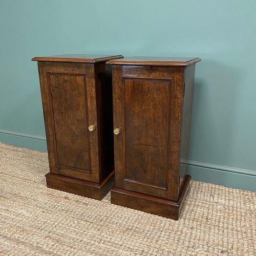 ANTIQUE VICTORIAN MAHOGANY PAIR OF BEDSIDE CABINETS - ADDITIONAL PHOTO 6