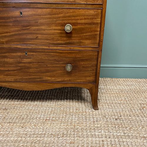 STUNNING ANTIQUE REGENCY CHEST OF DRAWERS - ADDITIONAL PHOTO 2