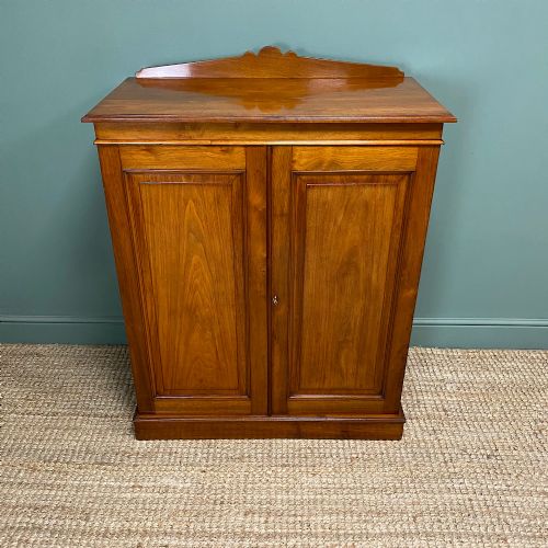 STUNNING 19TH CENTURY ANTIQUE VICTORIAN CUPBOARD - ADDITIONAL PHOTO 1