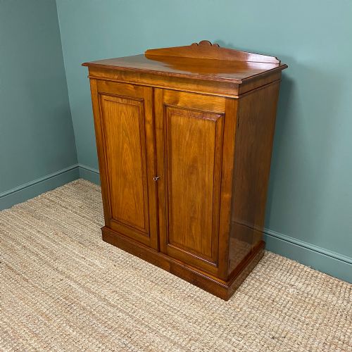 STUNNING 19TH CENTURY ANTIQUE VICTORIAN CUPBOARD - ADDITIONAL PHOTO 3