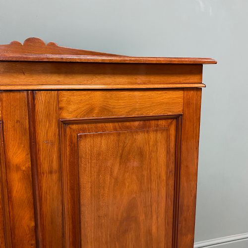 STUNNING 19TH CENTURY ANTIQUE VICTORIAN CUPBOARD - ADDITIONAL PHOTO 5