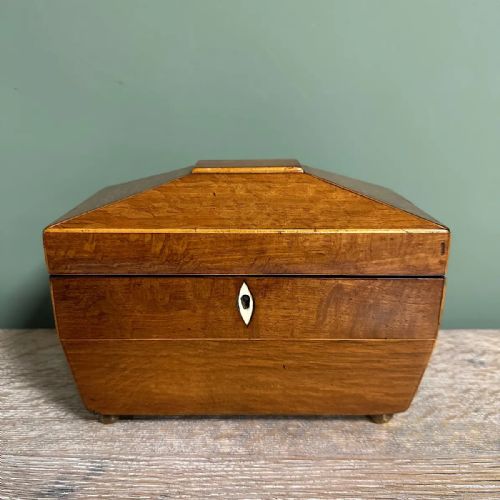 SUPERB QUALITY ANTIQUE TEA CADDY - ADDITIONAL PHOTO 1