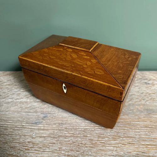 SUPERB QUALITY ANTIQUE TEA CADDY - ADDITIONAL PHOTO 5
