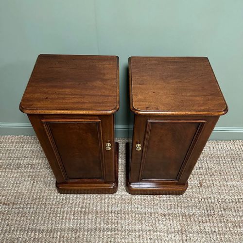 ANTIQUE VICTORIAN MAHOGANY PAIR OF BEDSIDE CABINETS - ADDITIONAL PHOTO 5