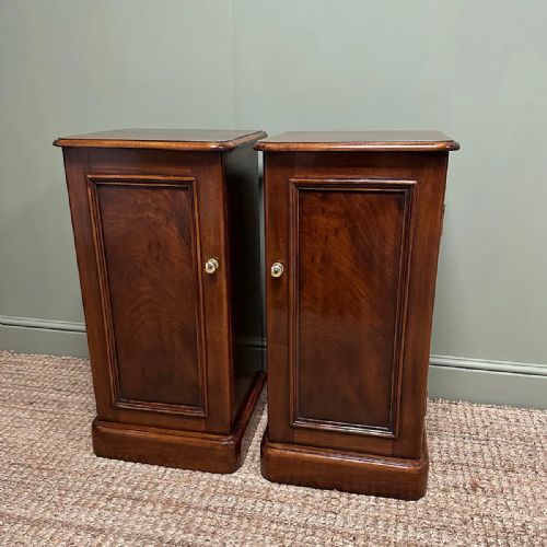 ANTIQUE VICTORIAN MAHOGANY PAIR OF BEDSIDE CABINETS - ADDITIONAL PHOTO 6